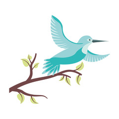 cute bird flying with tree branche vector illustration design
