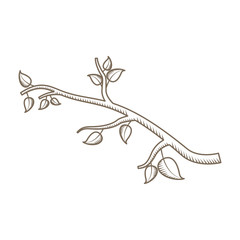 tree branch with leaves vector illustration design