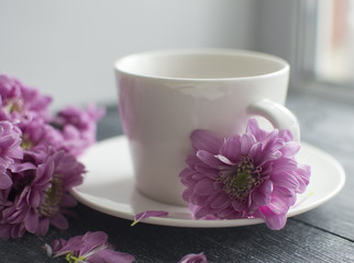 Horizontally background with flower and cup on saucer
