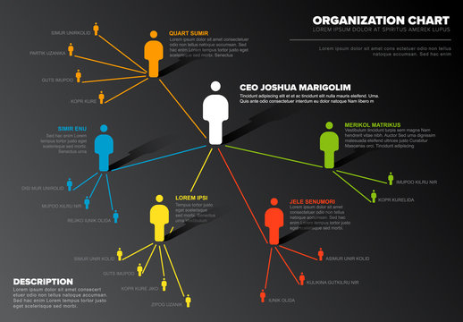 Company organization hierarchy schema diagram template