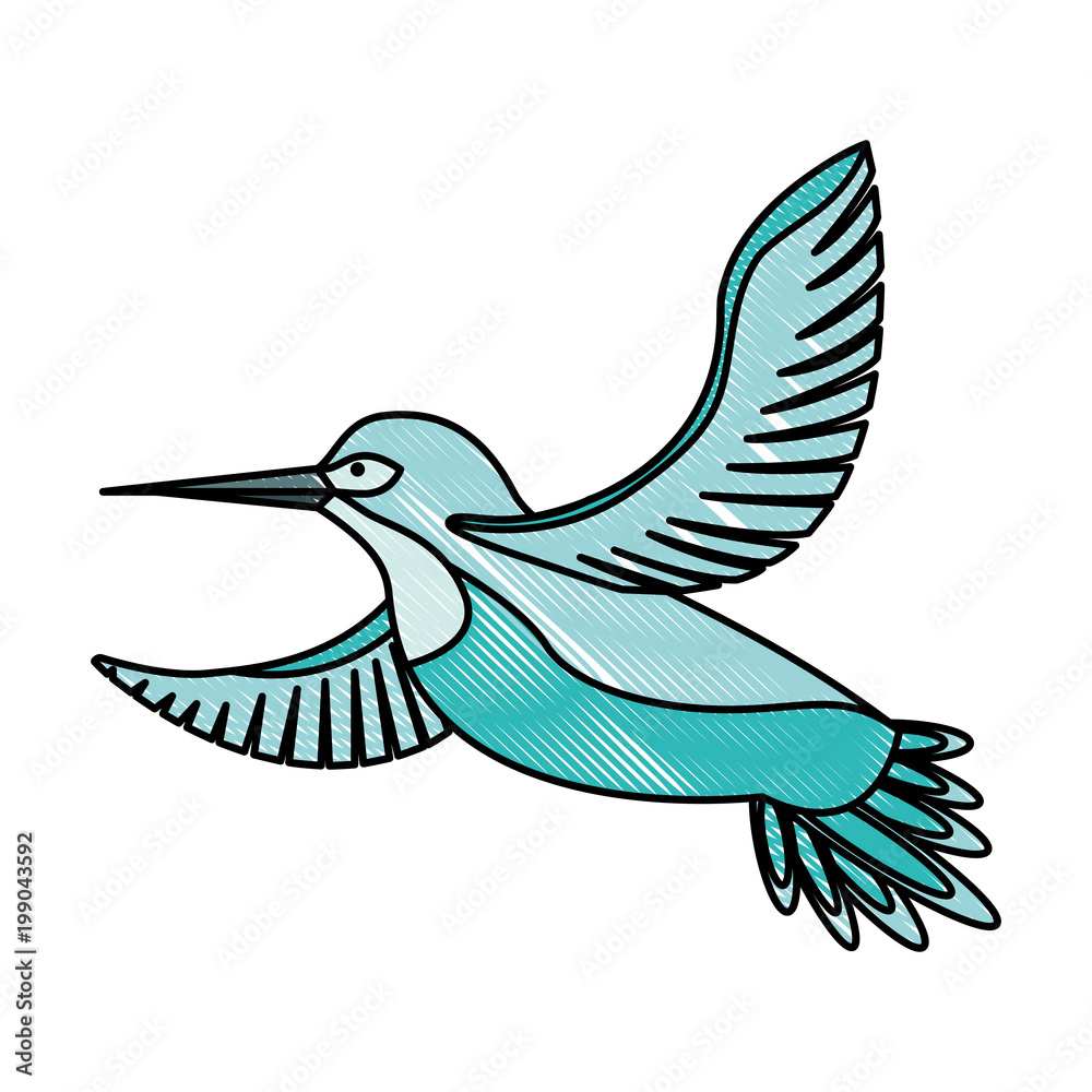 Canvas Prints cute bird flying with beautiful plumage vector illustration design