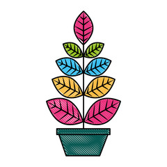 Obraz premium leafs plant in pot vector illustration design