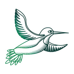 cute bird flying with beautiful plumage vector illustration design