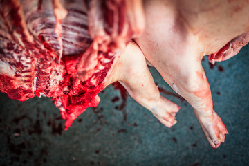 close up of feet of a killed bleed pig hanging at the slaughterhouse