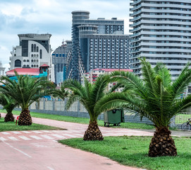 Fototapeta premium Embankment in Batumi with green palms and scyscrapers on the background, Georgia