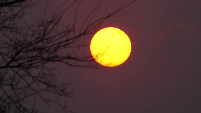 4K・幻想的な日の出の太陽2・タイムラプス_03-1310