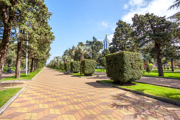 Park with palm trees at promenade of Batumi, Georgia © k_samurkas