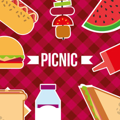 picnic poster food sandwich fruits burger kebab vector illustration