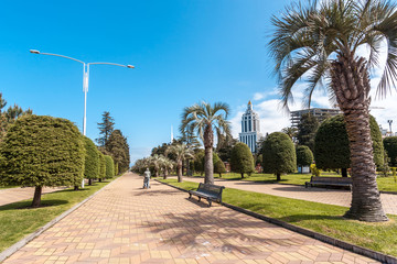 Obraz premium Park with palm trees at promenade of Batumi, Georgia
