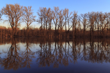 Fototapeta na wymiar reflecting trees