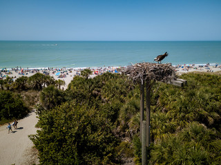Aerial View of Sarasota Florida