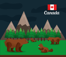 canada forest grizzly bear beaver natural conservation vector illustration