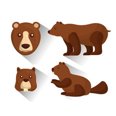 grizzly bear and beaver animals wildlife vector illustration