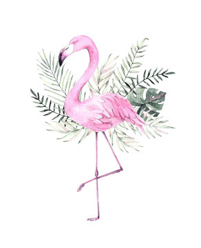 Hand drawn watercolor illustration. Print with pink flamingo and tropical leaves. Perfect for invitations, greeting cards, posters, blogs etc