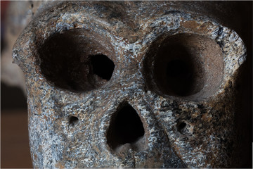 Monkey skull isolated