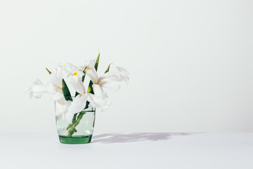 Stylish spring or summer flowers in vase