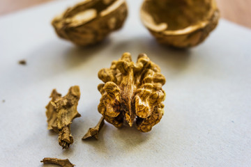 Broken walnut eating on the kitchen table, rich in protein, fat, iron, phosphorus, magnesium and other mineral salts, B-group vitamins and a whole range of trace elements. Shallow depth of focus.