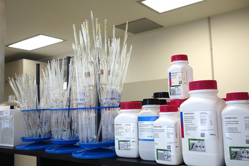 Working day in chemical laboratory