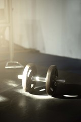 gym weight