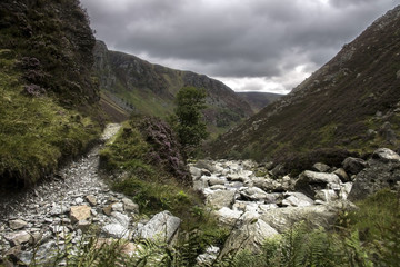 Cairngorm Mountain, Angus ,Aberdeenshire, Scotland, United Kingdom
