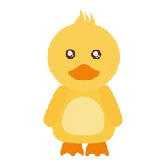 cute little chick icon vector illustration design