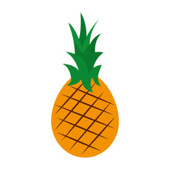 fresh pineapple fruit healthy food vector illustration design