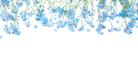 Gentle Border of blue forget-me-not flowers on white background