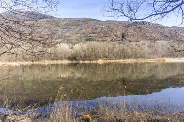 forest with lake, spring walk