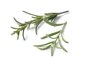 rosemary herb closeup on white background