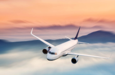 Naklejka na ściany i meble Airplane on the landscape background. Concept and idea of transportation