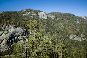 Fototapeta na wymiar A view of the Yosemite