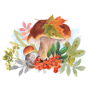 Watercolor autumn arrangement of fall leaves and mushrooms. Wild mushrooms, rowan berries, grass and leaves. Botanical illustration. Mushrooms watercolor template for vintage greeting card.