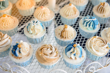 mini cupcake  in wedding party