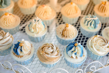 Obraz na płótnie Canvas mini cupcake in wedding party