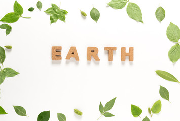 Earth text with green leaves top view flat lay