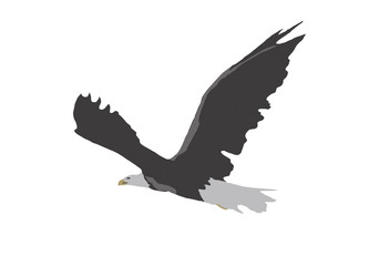 Fototapeta na wymiar Flying eagle illustration