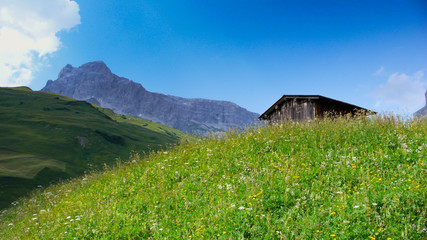 wooden cottage on a lush green summer meadow iwth a gorgeous mountain landscape behind