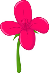 funny pink orchid flower cartoon