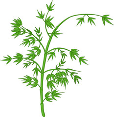 Obraz premium cute bamboo trees cartoon 