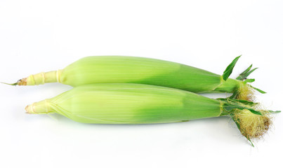 fresh raw corn cob with husk on white background