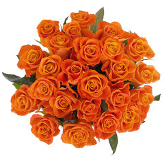 Bouquet of orange roses