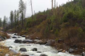 Icy Stream on a Cold Winter Day