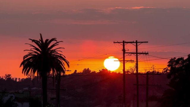 Los Angeles Sunset With Palm Tree and Pole Timelapse