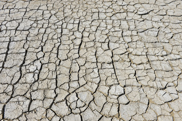 The parched soil