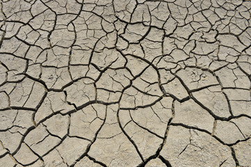 The parched soil