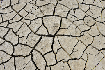 The parched soil