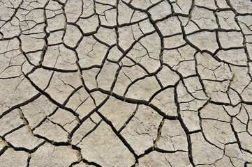 The parched soil