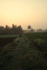 sunrise ride season 3