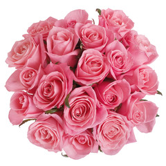 Bouquet of pink roses