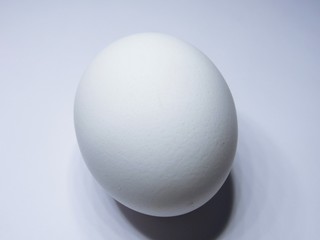 egg